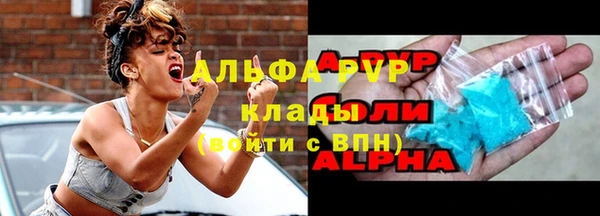 эйфоретик Пересвет