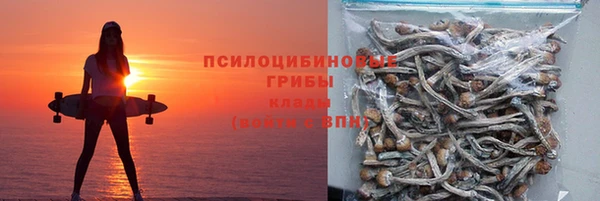 эйфоретик Пересвет