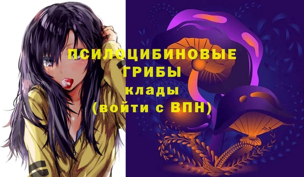 эйфоретик Пересвет