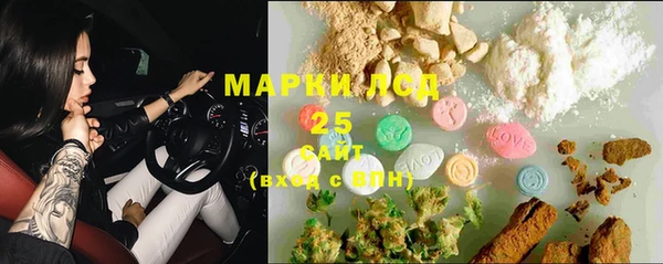 эйфоретик Пересвет